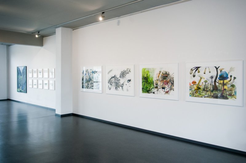 Ausstellungsansichten 