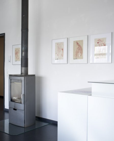 Unerwartete Metamorphosen – Udo Richter und Britta Naumann, Installationsaufnahmen der Ausstellung.